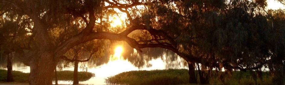 Take a walk along the beautiful Balonne River, famous for its great fishing.